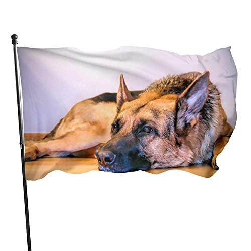 Bandera de tela de poliéster Bandera de impresión de color vivo con dos ojales de metal Bandera duradera Colorfast para decoración de interiores y exteriores Perro pastor alemán