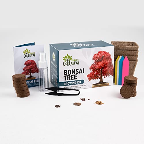 MadreColtura Kit Completo de Auto Cultivo de Bonsai I Kit de Semillas y Accesorios para cultivar, Set de regalo, Regalos Originales de Jardinería