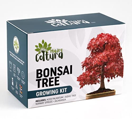 MadreColtura Kit Completo de Auto Cultivo de Bonsai I Kit de Semillas y Accesorios para cultivar, Set de regalo, Regalos Originales de Jardinería